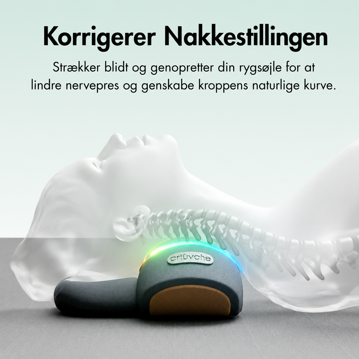 Minako Fisio Massager